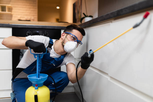 Best Ant Control Services  in Miami, OK