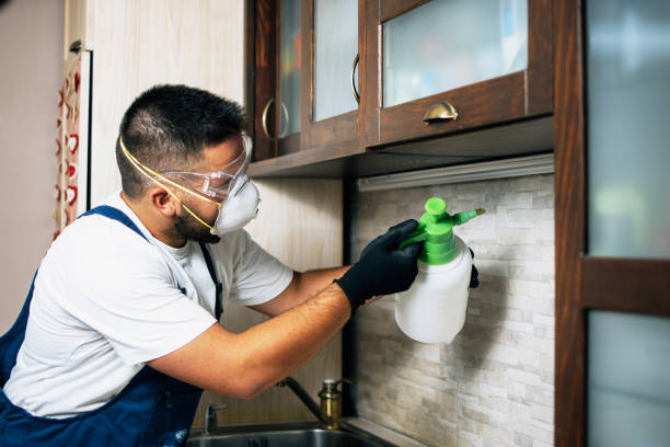 Best Pest Control Near Me  in Miami, OK