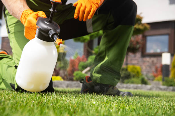 Best Ant Control Services  in Miami, OK
