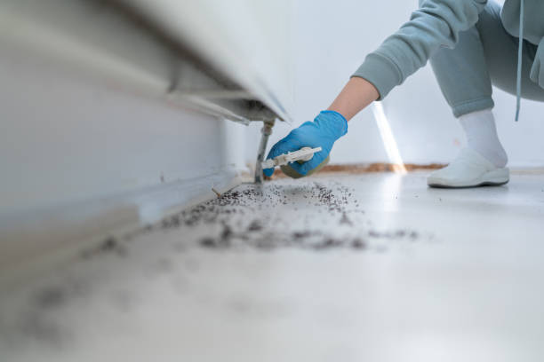 Best Mosquito Control Services  in Miami, OK
